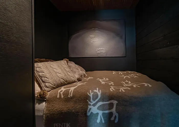 Levi Arctic Penthouse Slope-side&pilates Reformer 公寓 锡尔卡